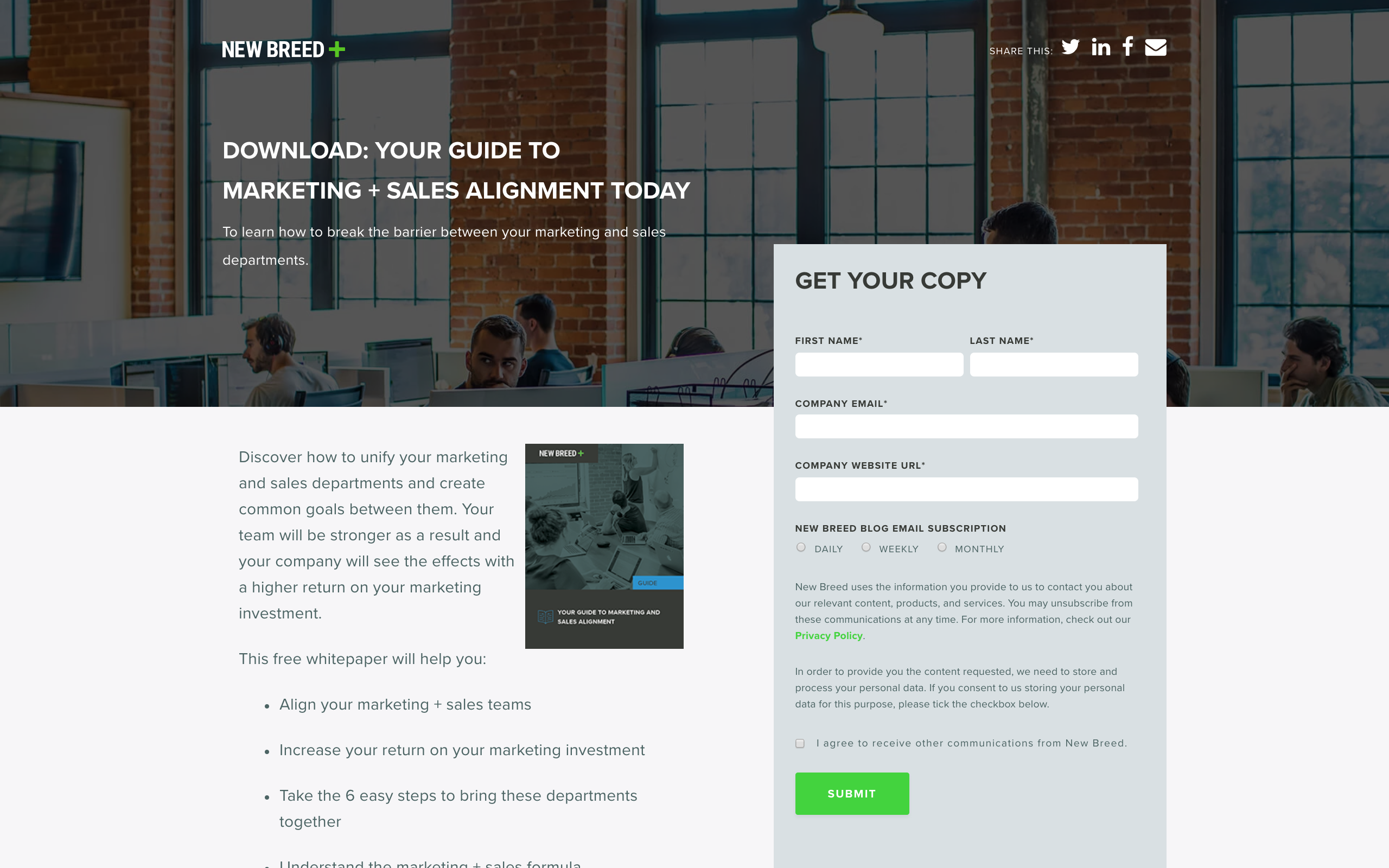 4 Incredible B2B Website Design Examples That Convert